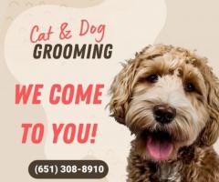We have a couple grooming openings left Wednesday!