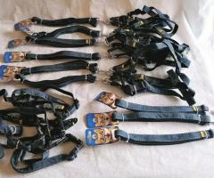 Lots of new dog items for sale