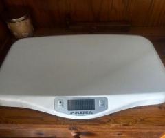 Lots of new dog items for sale