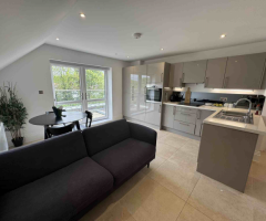 BUSHEY HEATH, Birch Walk