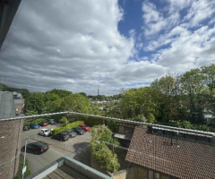 BUSHEY HEATH, Birch Walk - 6