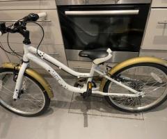 New bicycle for free