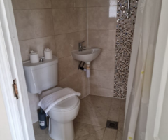 5 Bed Detached House, Hunting Gate, HP2 - 14
