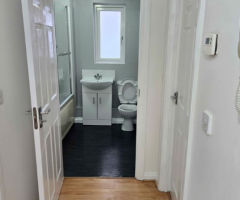 1 bed 1 bathroom – Flat MK5