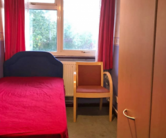 Single Room for rent