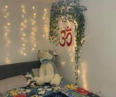 Room in a Shared House, Burgundy Drive Hemel Hempstead, HP2